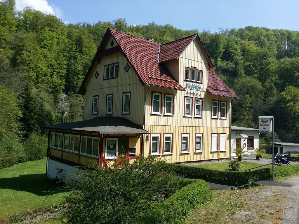 Pension Waldfrieden Thale Zewnętrze zdjęcie
